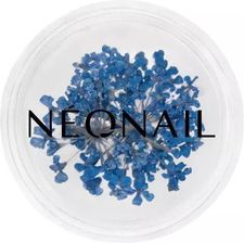 Zdjęcie Ozdoba do paznokci kwiaty Navy 04 Neonail - Wadowice