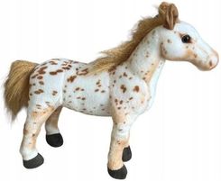 Zdjęcie Dubi Koń Tarantowaty 35Cm - Kórnik