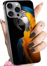 Hello Case Etui Do Iphone 16 Pro Max Papuga Papużka Tukan Obudowa Pokrowiec Case