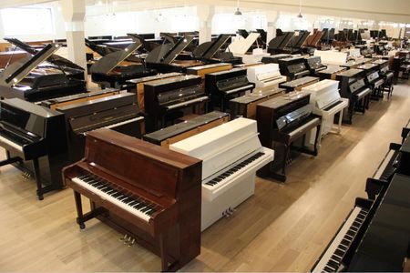 Shodai様限定】Roland DP-10 & EV-5 & KS-12 Amazon | Roland
