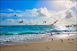 Muralo Fototapeta Mewy Dekoracja Ścienna Do Salonu Plaża Morze Fale Tropikalna Ozdoba Z Efektem 3D 90x60cm