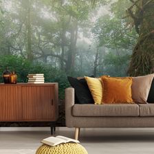 Muralo Fototapeta Mgła Las Tropikalny Szlak Azja Tapeta Ścienna Idealna Do Salonu Z Modnym Efektem 3D 450x300cm
