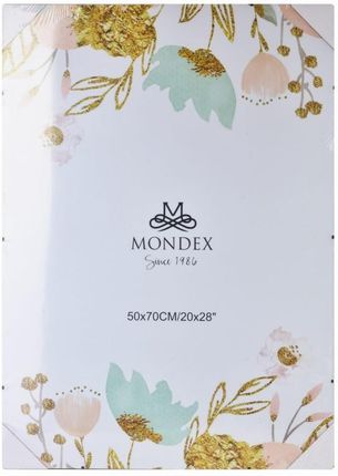 Mondex Antyrama 50x70cm ADI