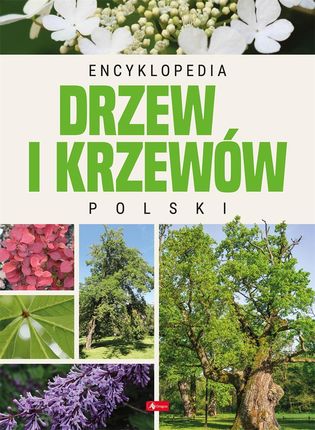 Encyklopedia drzew i krzewów Polski - Opracowanie zbiorowe