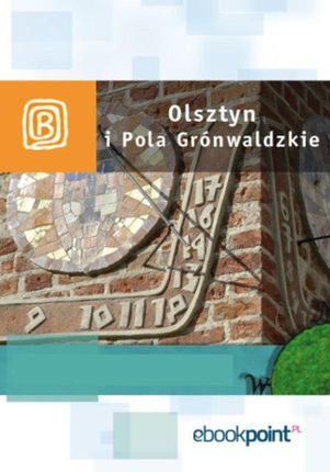 Olsztyn i Pola Grunwaldzkie. Miniprzewodnik. eBook.