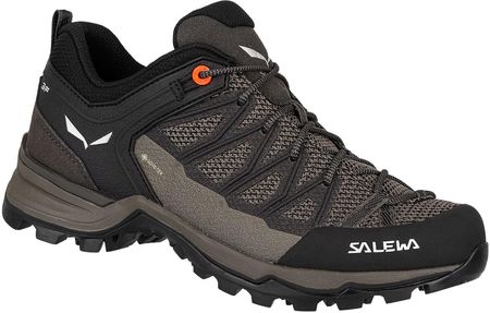 Salewa Ws Mtn Trainer Lite Gtx Brązowe