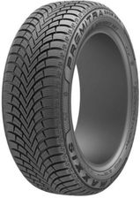 Maxxis Premitra Snow WP6 SUV 255/45R20 105V XL