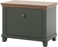 Zdjęcie Helvetia Szafka na buty Evora 38 zielona 71x42x55 cm - Małomice