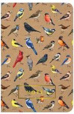 Zdjęcie Notes Ptaki Odbiór   - Strzegom