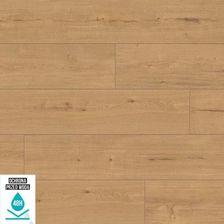 Zdjęcie Classen Grande Xxl 4V 62971 Moritzburg Ac5 10mm - Słubice