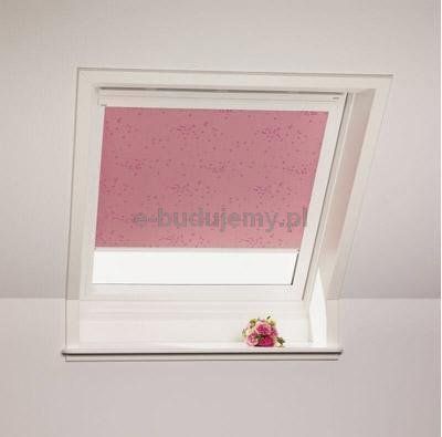VELUX DKL C02 55x78 0705