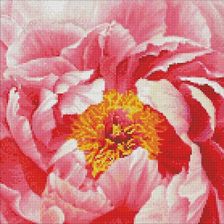 Zdjęcie Ideyka Diamentowa Mozaika Kolorowa Piwonia 40X40Cm - Dobczyce