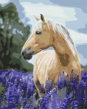 Zdjęcie Ideyka Malowanie Po Numerach Spacer 40X50Cm - Żnin