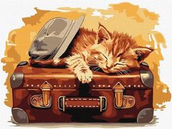 Zdjęcie Ideyka Malowanie Po Numerach Gotowy Do Podróży 30X40Cm - Puszczykowo