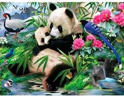 Zdjęcie Titanum Mozaika Diamentowa 5D Panda 40X30Cm - Dolsk