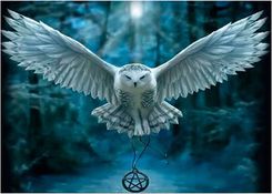 Zdjęcie Titanum Mozaika Diamentowa 5D Sowa 40X30Cm - Dolsk