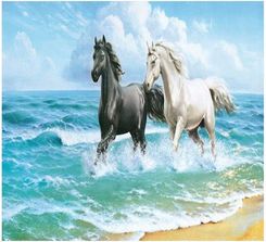 Zdjęcie Titanum Mozaika Diamentowa 5D Konie 40X30Cm - Krzywiń