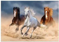 Zdjęcie Titanum Mozaika Diamentowa 5D Konie 40X30Cm - Bełchatów