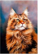 Zdjęcie Titanum Mozaika Diamentowa 5D Kot 40X30Cm - Olkusz