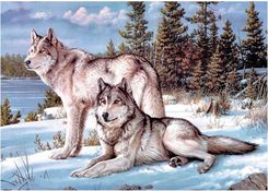 Zdjęcie Titanum Mozaika Diamentowa 5D Wilki 40X30Cm - Kościan
