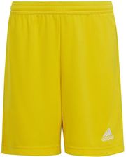 Zdjęcie Spodenki adidas ENTRADA 22 Short Y IC7411 - Nowe Brzesko