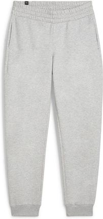 Damskie Spodnie Puma Ess+ Logo Lab Pants FL 68298904 – Szary