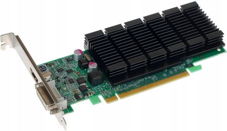 Fujitsu Nvidia Geforce 405 512MB 64BIT DDR3 (S26361D2422V407)