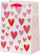 Zdjęcie Panon Torba Prezentowa Serca Walentynki 33x26cm 1021AKR2 - Brodnica