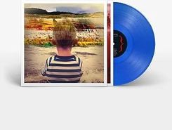 Zdjęcie Awayland (2024 Edition) (Vinyl)  - Odbiór w księgarni 0 zł | 10,99 zł wysyłka lub BEZPŁATNIE przy zamówieniu od 149 zł - Kielce