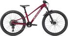Specialized Riprock Expert 24, GLOSS RASPBERRY / WHITE, 2023