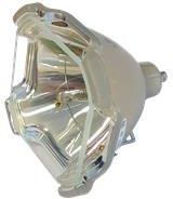SANYO Lampa do projektora SANYO PLC-XT25 - oryginalna lampa bez modułu (6103307329)