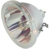 SHARP Lampa do projektora SHARP XG-P20XE - oryginalna lampa bez modułu (BQC-XGP20X//1)