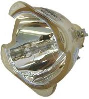 OPTOMA Lampa do projektora OPTOMA HD81-LV - oryginalna lampa bez modułu (SP.83C01G001)