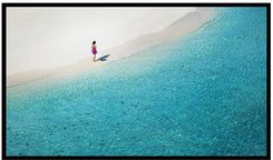 Zdjęcie Blitzwolf Ekran Projekcyjny Bw-Vs4 100" (67547) - Sucha Beskidzka