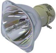 OPTOMA Lampa do projektora OPTOMA TX761 - oryginalna lampa bez modułu (SP.87M01GC01)