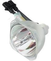 OPTOMA Lampa do projektora OPTOMA H31 - oryginalna lampa bez modułu (SP.81G01.001)