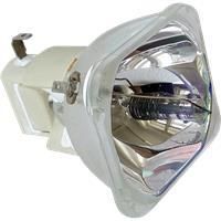 TOSHIBA Lampa do projektora TOSHIBA TDP-S8 - oryginalna lampa bez modułu (TLPLV6)