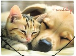 Zdjęcie Panta Plast Teczka A4 Pp Na Gumkę Z Nadrukiem Friendship - Pobiedziska