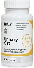 Lab V Urinary Cat Wsparcie Układu Moczowego Dla Kotów 45Kaps.