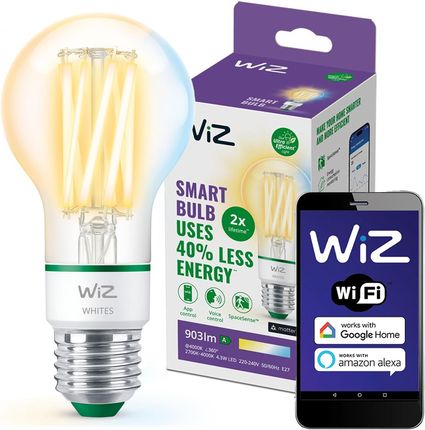 WiZ White 60W E27 A60 Standard Filament (929003714001)