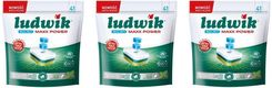Zdjęcie Ludwik Tabletki do zmywarek All in 1 Maxx Power Mint Zestaw 3 x 41 szt. - Józefów