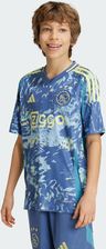 Zdjęcie Koszulka Ajax Amsterdam 24/25 Away Kids - Glinojeck