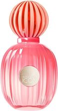 Zdjęcie Antonio Banderas The Icon Splendid Woda Perfumowana 50ml - Reszel
