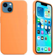 Vanfone Etui Do Iphone 13 Magsafe Case Cover Obudowa