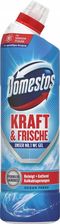 Zdjęcie Domestos Aktiv Kraft Ocean Fresh Żel do WC 750ml - Puszczykowo