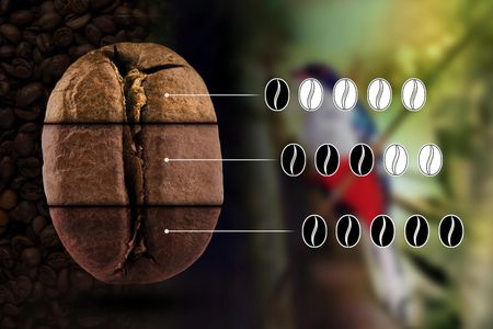 Eight Cafe Ziarnista Świeżo Palona 100% Arabica Kuba 500g Do Ekspresu - zdjęcie 2