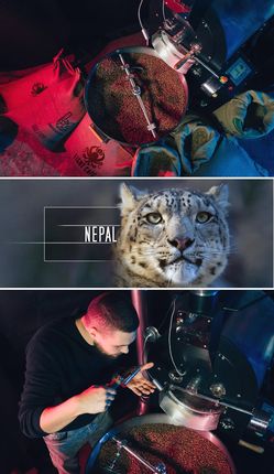 Eight Cafe Ziarnista Świeżo Palona 100% Arabica Nepal 500g Do Ekspresu - zdjęcie 5