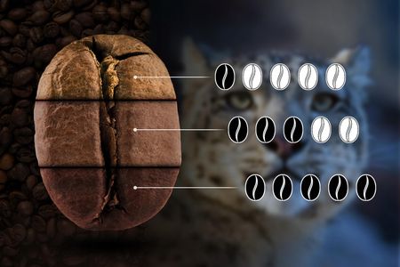 Eight Cafe Ziarnista Świeżo Palona 100% Arabica Nepal 500g Do Ekspresu - zdjęcie 4