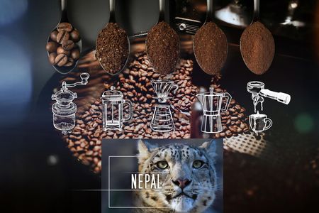 Eight Cafe Ziarnista Świeżo Palona 100% Arabica Nepal 500g Do Ekspresu - zdjęcie 3
