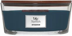 Zdjęcie WoodWick Antiquarium Elipsa 453,6g - Biała Podlaska